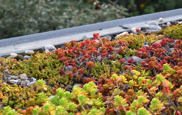 the cost of Woodton green roof installation