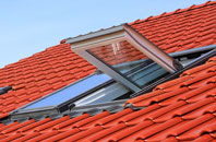 Woodton roof window